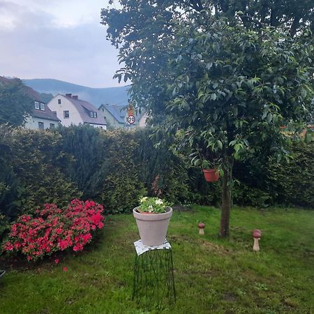 Pod Debem Daire Jugów Dış mekan fotoğraf