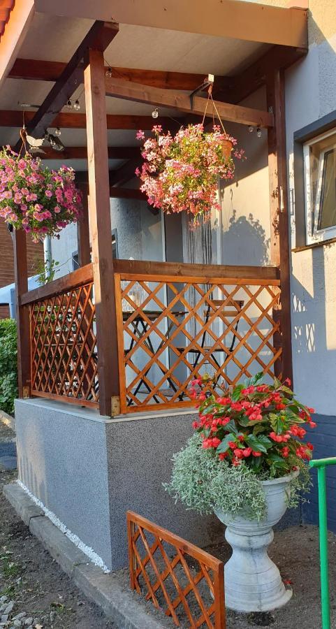 Pod Debem Daire Jugów Dış mekan fotoğraf