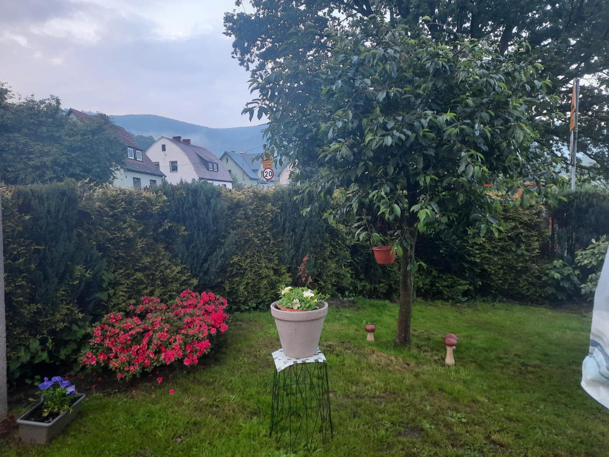 Pod Debem Daire Jugów Dış mekan fotoğraf